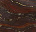 Tiger Iron Stromatolite Shower Tile - Billion Years Old #48812-1